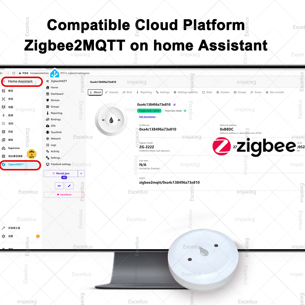 Zigbee Waterdetector Lekkagese - Home Cinema Alexa recensie en prijs