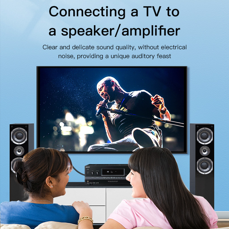 CHOSEAL RCA-kabel Digitale coa - Home Cinema App recensie en prijs